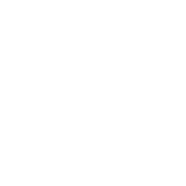 QUALITY INSPECTION WITH LAB TESTING